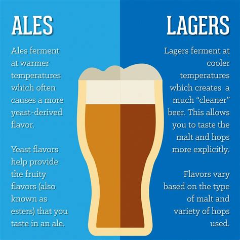 pale ale vs pilsner